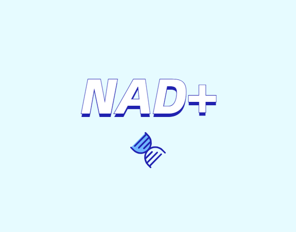 NAD與NMN的全新概念？
