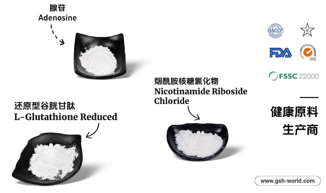 有哪些原料被廣泛應用？