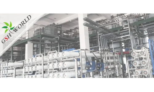 企業(yè)動態(tài) - 安慶市區(qū)領(lǐng)導(dǎo)對古特生物的生產(chǎn)發(fā)展給予充分肯定