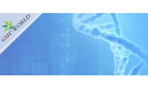 煙酰胺和nmn區(qū)別？煙酰胺單核苷酸(NMN) 的化合物