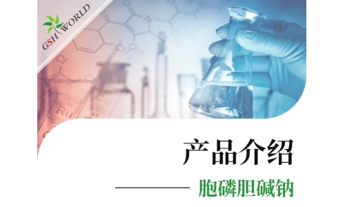 產(chǎn)品介紹 - 胞磷膽堿鈉——被廣泛應用的神經(jīng)保護劑