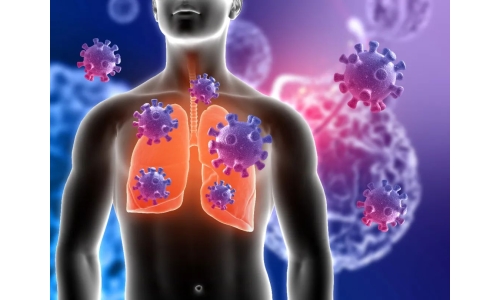 鐘南山：6月底將迎來二陽(yáng)高峰！危害更大？NMN能有效抵御“二陽(yáng)”！