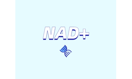 NAD+前體是如何緩解衰老的？
