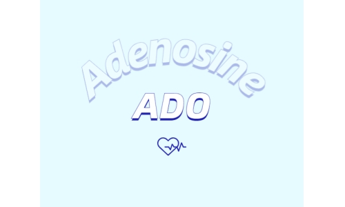 腺苷如何抗皮膚衰老？