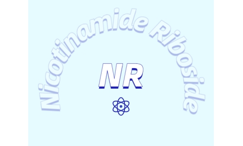 煙酰胺核糖氯化物是如何增加NDA+水平的？