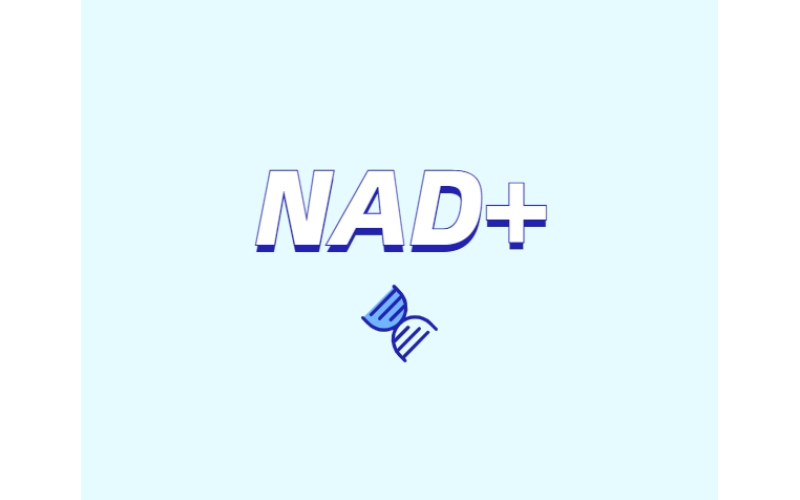 NAD與NMN的全新概念？